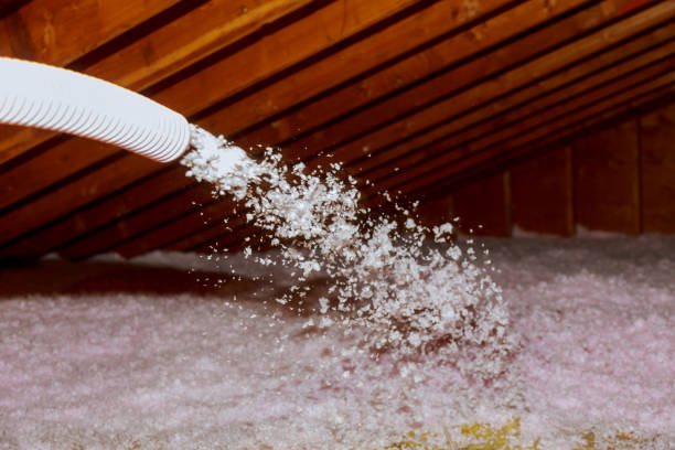 Best Cellulose Insulation in Willis, TX
