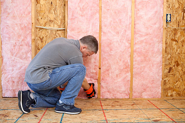 Best Specialized Insulation Services in Willis, TX