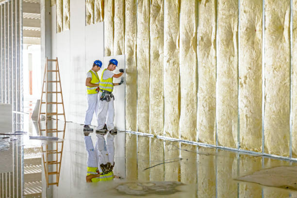 Best Commercial Insulation in Willis, TX